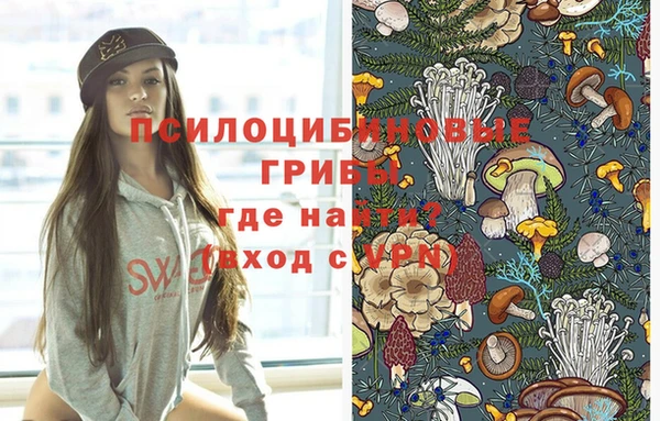 бошки Абинск
