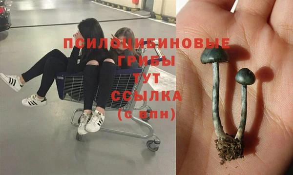 каннабис Абдулино