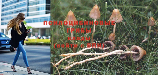 каннабис Абдулино