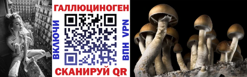 хочу   hydra ссылки  Псилоцибиновые грибы Cubensis  Инта 